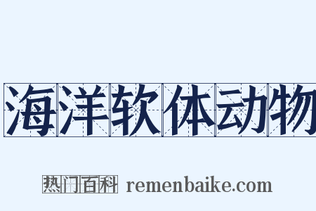 海洋软体动物是什么意思的图片